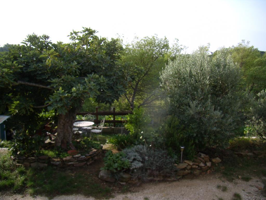 Chambre D'Hotes, Cote-Vignes Bormes-les-Mimosas Exterior photo